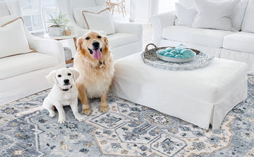 Washable Rugs