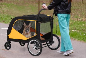 Creating a Safe Haven with GARVEE's Pet Supplies - GARVEE