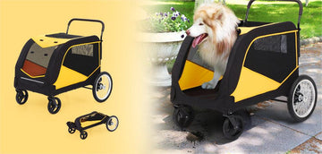 Enhancing Pet Comfort with GARVEE's Pet Supplies - GARVEE