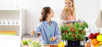 Benefits of Hydroponics Growing System - GARVEE