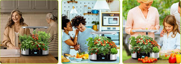 Rise of Kitchen Hydroponics - GARVEE