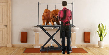 GARVEE: Your Pet's Health & Happiness - GARVEE