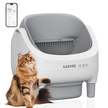 Cat Feeding & Care