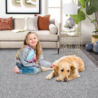 Garvee Area Rug 2x3 Modern Solid Small Washable Rug Chenille Front Door Doormat Indoor Foldable Floor Cover Entryway Door Mat Boho Non-Slip Welcome Mat for Living Room Bedroom Bedside Light Grey