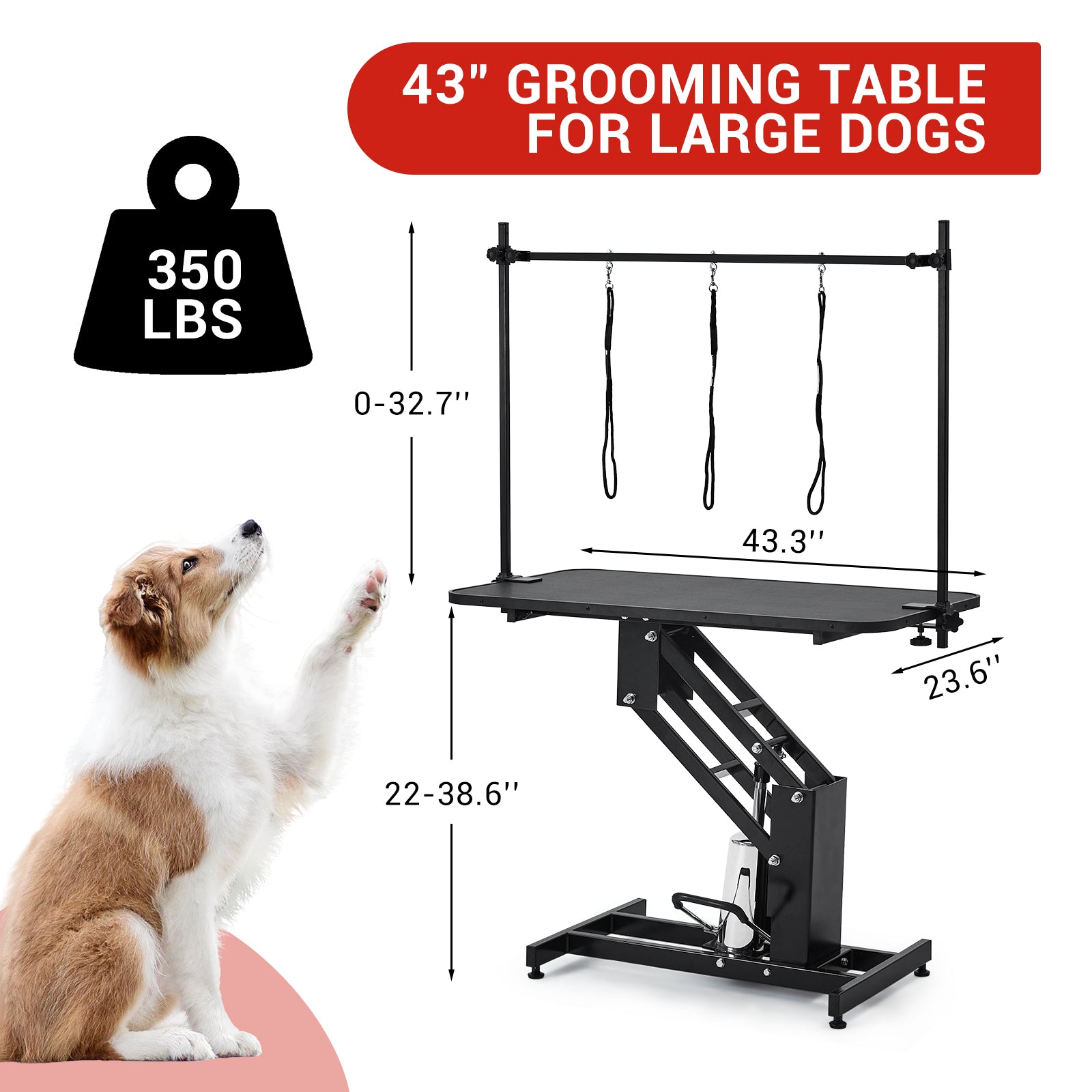 Garvee Dog Grooming Table, Heavy Duty Hydraulic Max Load 350Lbs Adjustable Arm and Noose Height 22-39" for Professional Pet Grooming