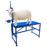 Garvee Heavy Duty Metal Goat Milking and Hoof Trimming Stand with Adjustable Headpiece & Legs, Built-in Feed Bin, 600 lbs Capacity - Ideal for Sheep, Goats, and Livestock Grooming - Tool Set, Blue - Blue