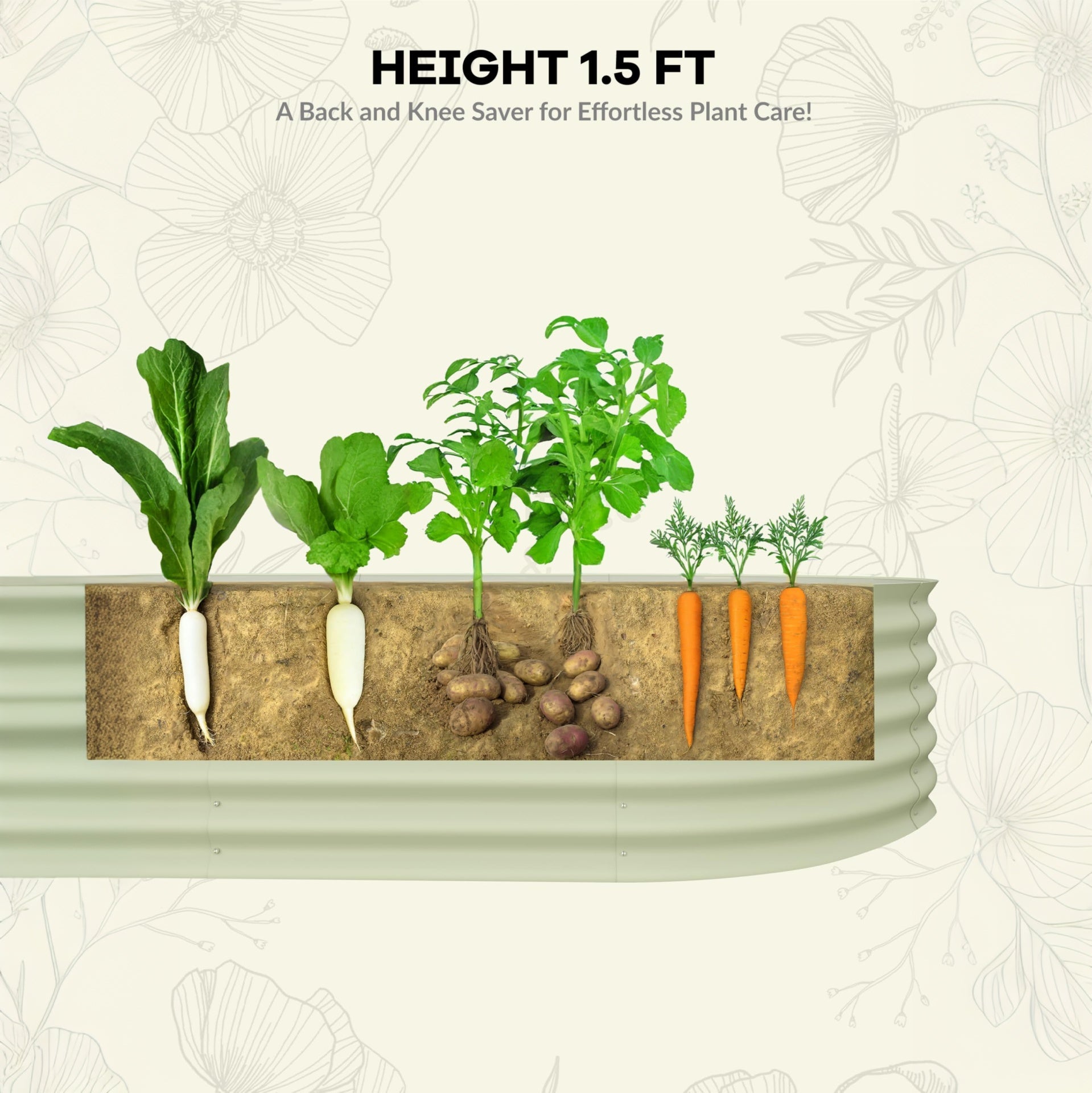 PHO_15FZ34NU