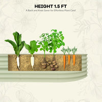 PHO_15FZ34NU