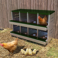 Garvee 8-Compartment Metal Nesting Box – Heavy-Duty Roll Away Egg Design w/Perch & Cover for Poultry Wall/Floor Mount, Green