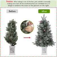 Garvee 3ft Prelit Artificial Christmas Tree with Snowflake Light Box Base, 78 Warm Lights & Red Berry for Front Door, Porch, Entryway, Fireside Christmas Decoration, Set of 2