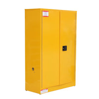 Garvee 45 Gal Flammable Safe Cabinet, 43" x 18" x 65" Galvanized Steel Flammable Liquid Storage Cabinet With 1 Shelf, 2 Manual Closing Doors