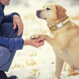 Garvee Pet Dog Collars Bling Dog Bow Tie Collar Cute Girl Dog Collar with Safety Metal Buckle for Small Boy Girl Dogs Cats Neck Fit 9-12" Navy Blue - Navy blue