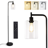 Garvee Modern Industrial Floor Lamp with 6W LED, Clear Glass Shade, Black Spray Paint, Remote Control, Dimmable, Safe for Kids, Easy Assembly, Living Room or Office - Negro -