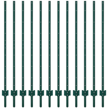 PPG_336A8RNS