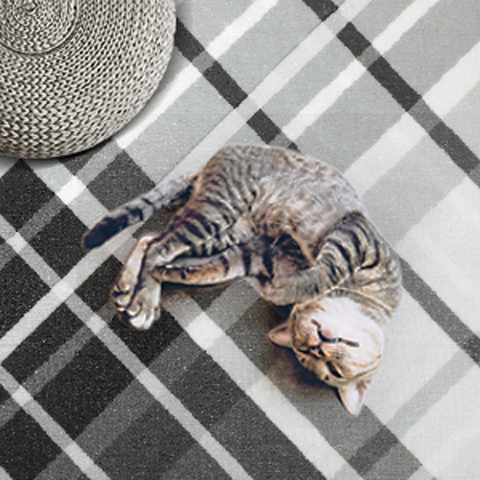 PHO_14ORW98G