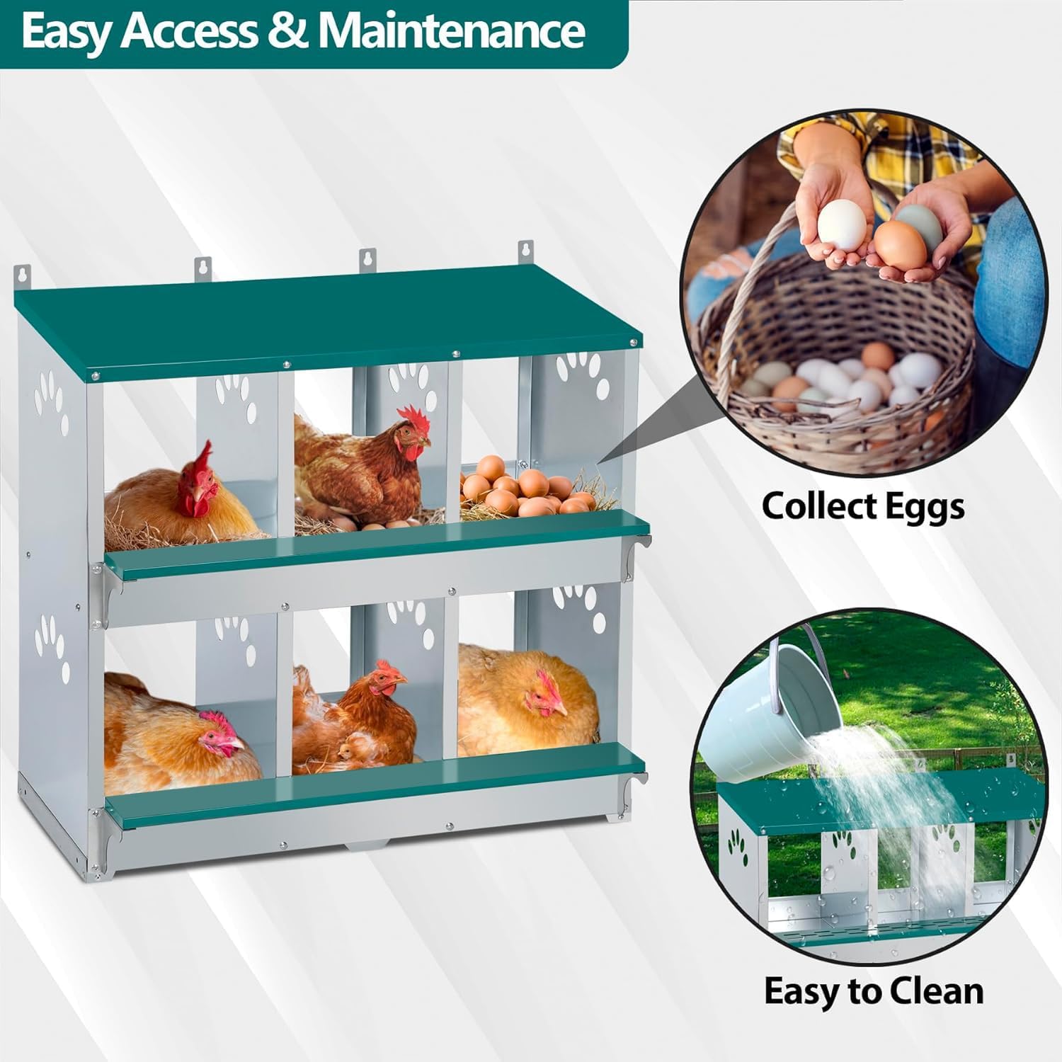 Garvee 6-Compartment Metal Nesting Box – Heavy-Duty Roll Away Egg Design w/Perch & Cover for Poultry Wall/Floor Mount, Green