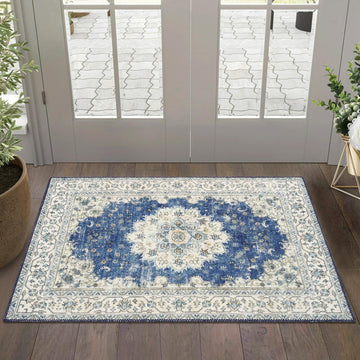 Oriential 2x3 Blue Rugs