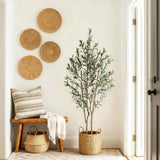 Garvee 5FT Olive Trees Artificial Indoor Faux Silk Plant with Natural Wood Trunk Black Imitation Ceramic Planter for Home Office Living Room Decor - Black