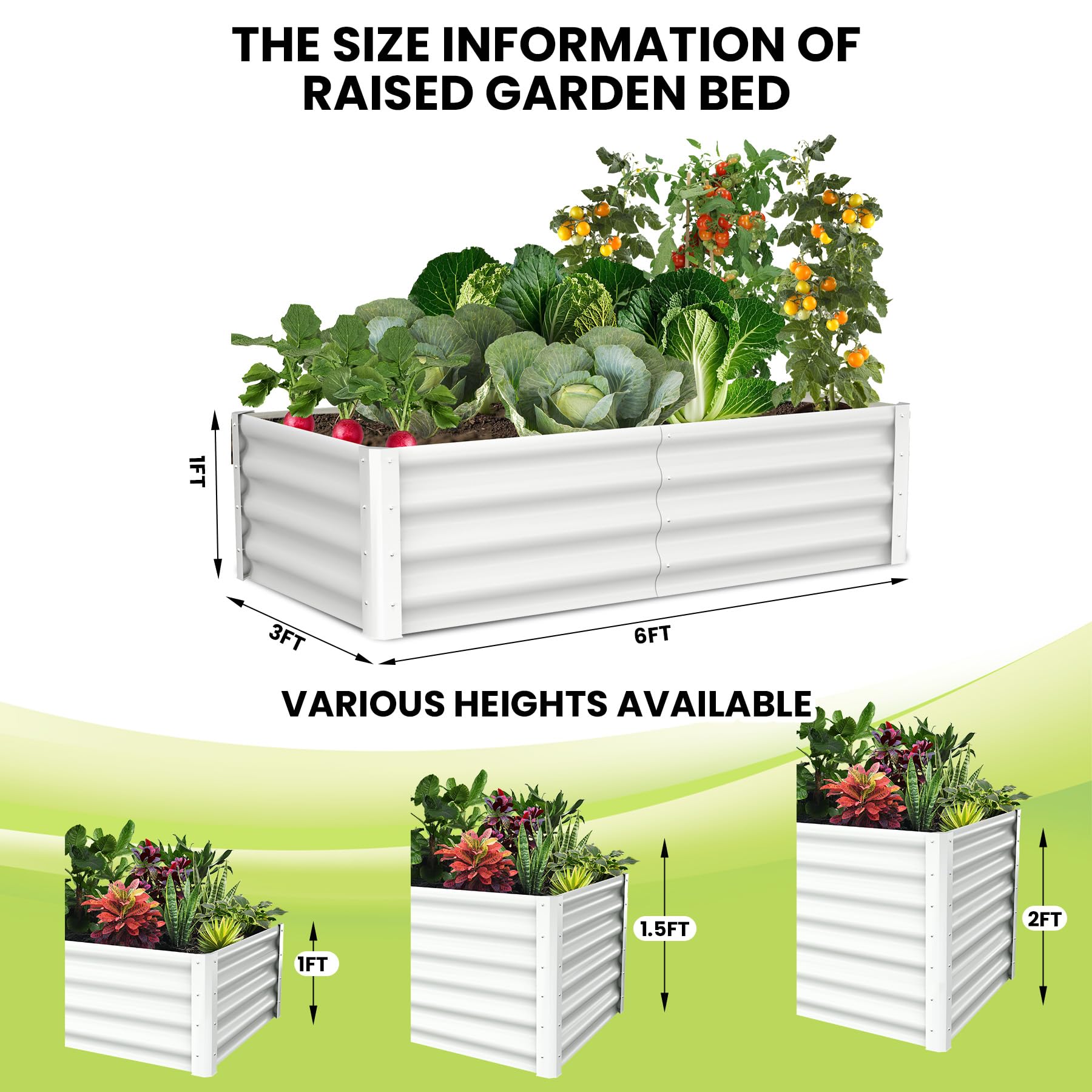 PHO_11YKH60S