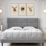 Garvee King Bed Frame Upholstered Platform, Bed Frame with Square Velvet Headboard, Wooden Slats Support, Non-Slip and Noise-Free, No Box Spring Needed, Easy Assembly - Light Gray - Queen - Light grey