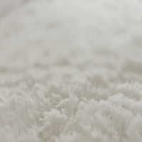 Garvee Fluffy & Sheepskin White 9x12 Plush Fuzzy Rug, Soft Shag Carpet for Living Room Bedroom Decor