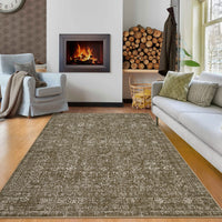 Garvee 5x7 Area Rug Large Washable Indoor Carpet Non-Slip Backing Brown