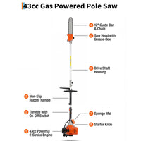 Garvee 43cc Gas Pole Saw 12" Bar, 9.5FT Extendable Reach, 2-Stroke Tree Pruner with Auto Oiler, Anti-Vibration Handle & Quick Release
