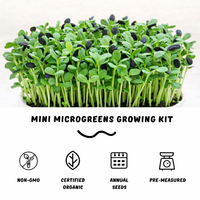 Garvee Sunflower Microgreens Growing Kit – Organic Non-GMO Seeds, Ready to Harvest in 12 Days, Easy Indoor Grow Starter Kit