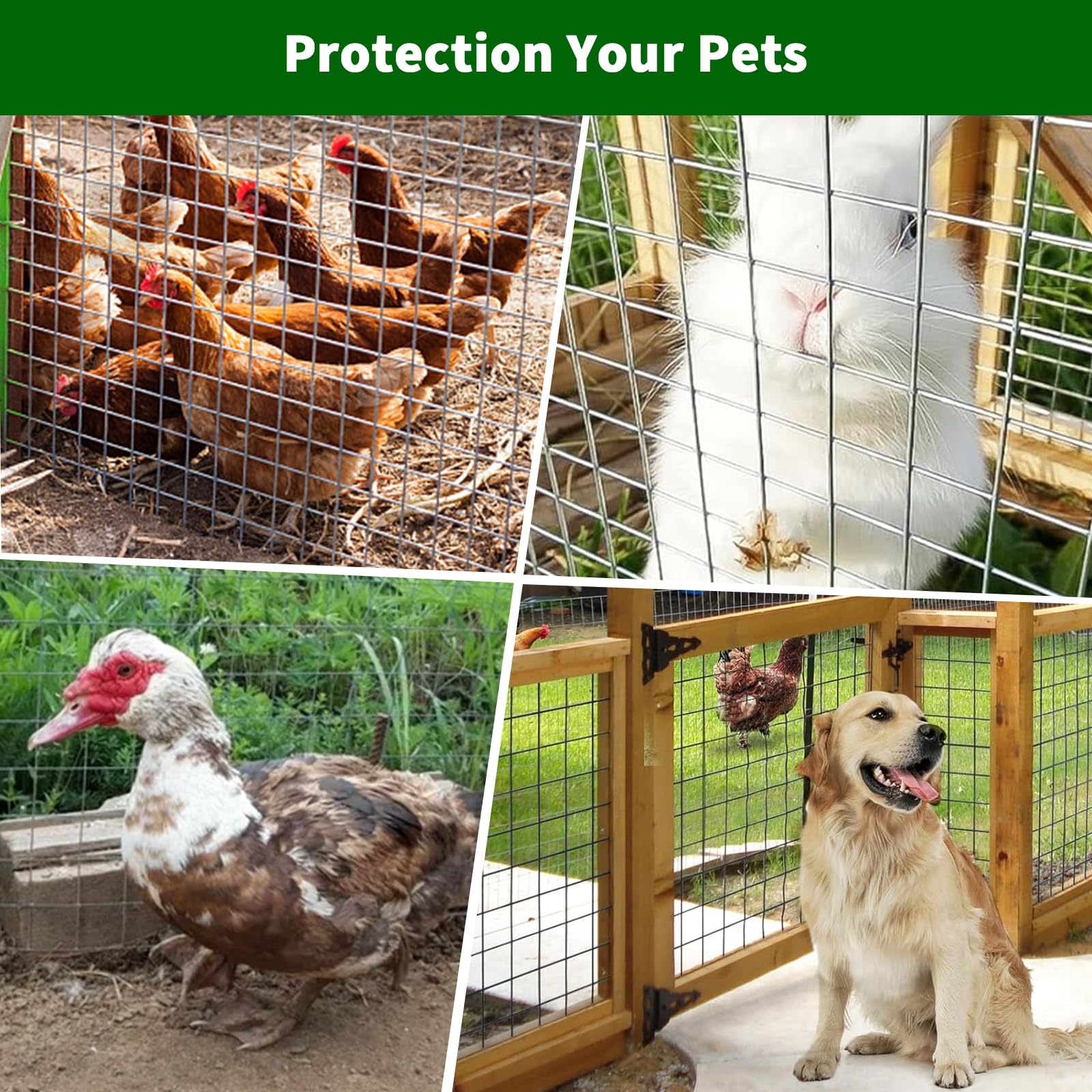 PPG_334AGPHS