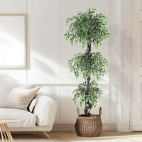 PHK_359P83TM