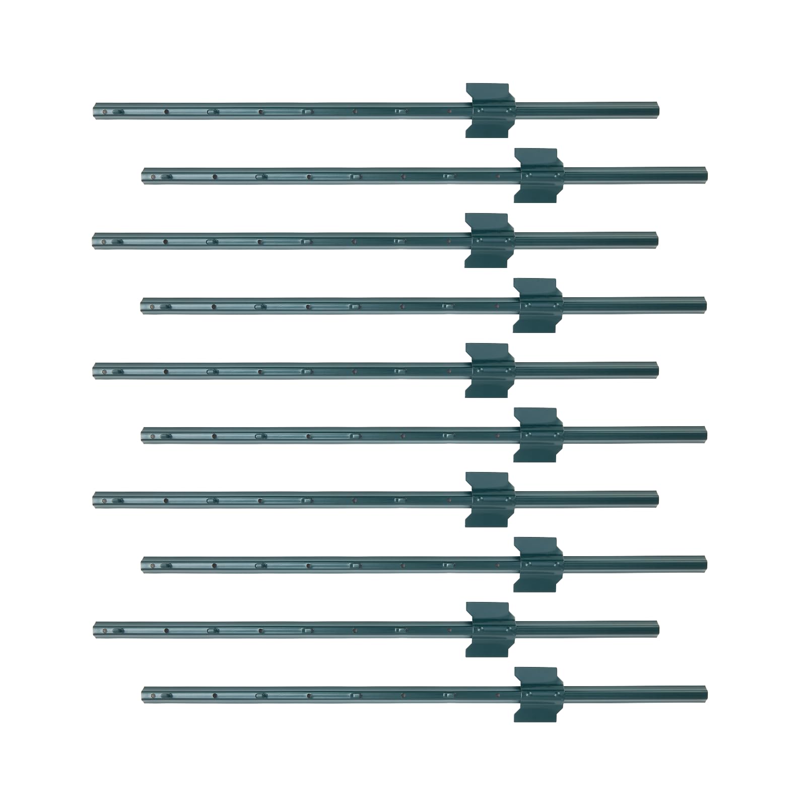 PPG_33LDBVSP