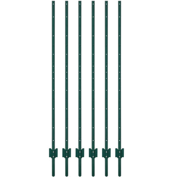 PPG_336A9TFW