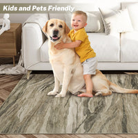 Garvee Abstract Taupe 5x7 Machine Washable Area Rug, Carpet Stain Resistant Non-Slip Accent Rug Modern Abstract Living Room Rug Floor Cover for Dining Office Bedroom