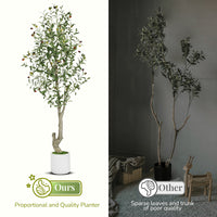 PHO_34LWFTU3