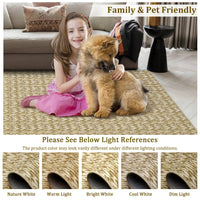 Garvee Modern Camel 5x7 Area Rug Braided Print Floor Cover with Non-Slip Backing, Washable Contemporary Indoor Carpet, Foldable Low Pile Throw Rug for Bedroom, Living Room