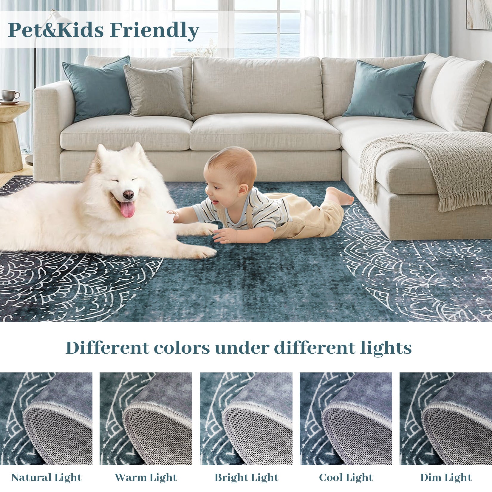 PHK_33HGV8B6