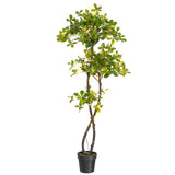 Garvee Artificial Black Olive Tree, 5ft Faux Olive Tree in Pot with 2 Tier, Fake Plants with 50 Lights and Dimmer for Indoor Living Room Office Decor&Housewarming Gift - 5ft (with Light)