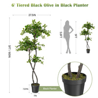 PHK_33YNVM3C