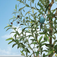 PHK_33CG7454