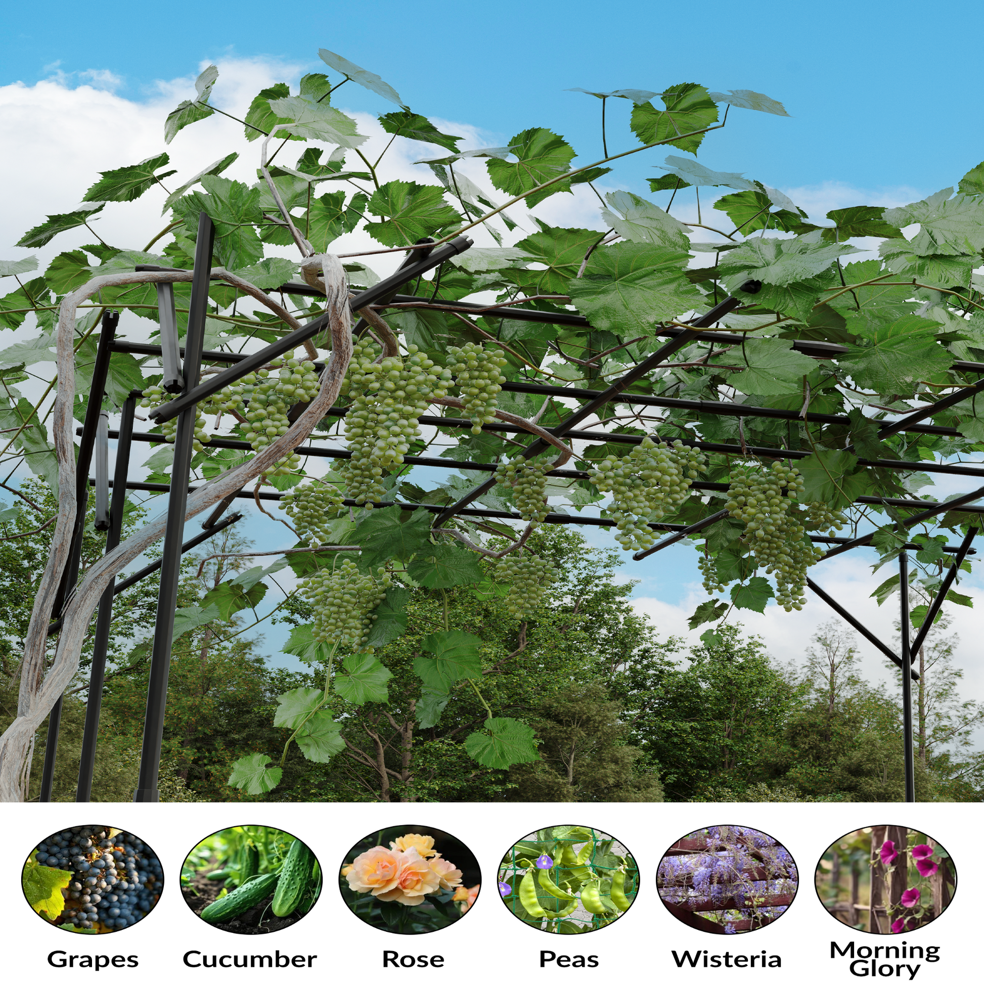 Garvee 86.6 in Garden Arch Trellis, Outdoor Metal Arbor for Climbing Plants, Tool-Free Assembly, Rust-Resistant Plant Support for Roses, Vines & Flowers