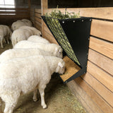 Garvee 2-in-1 Hay Feeder, Wall Mount Hay Rack for Horses, Heavy Duty Steel Hanging Livestock Feeder for Small Goats Sheep Cattle, Easy Assembly, Black - Black