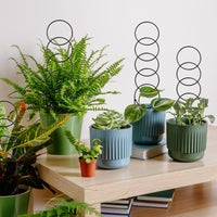 Garvee 17.3 Small Trellis for Potted Plants, 12 Pcs Heavy Duty Sturdy Metal Trellis for Climbing Plants, Rustproof Houseplant Support for Pothos Hoya Ivy Flower