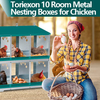 Garvee 10-Compartment Metal Nesting Box – Heavy-Duty Roll Away Egg Design w/Perch & Cover for Poultry Wall/Floor Mount, Green