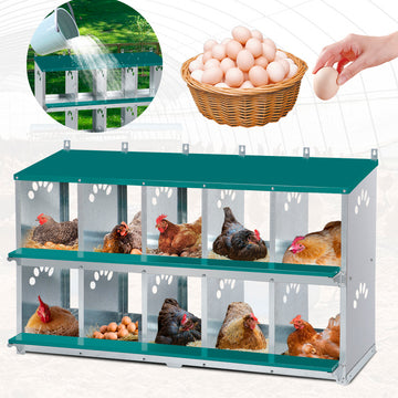 Garvee 10-Compartment Metal Nesting Box – Heavy-Duty Roll Away Egg Design w/Perch & Cover for Poultry Wall/Floor Mount, Green