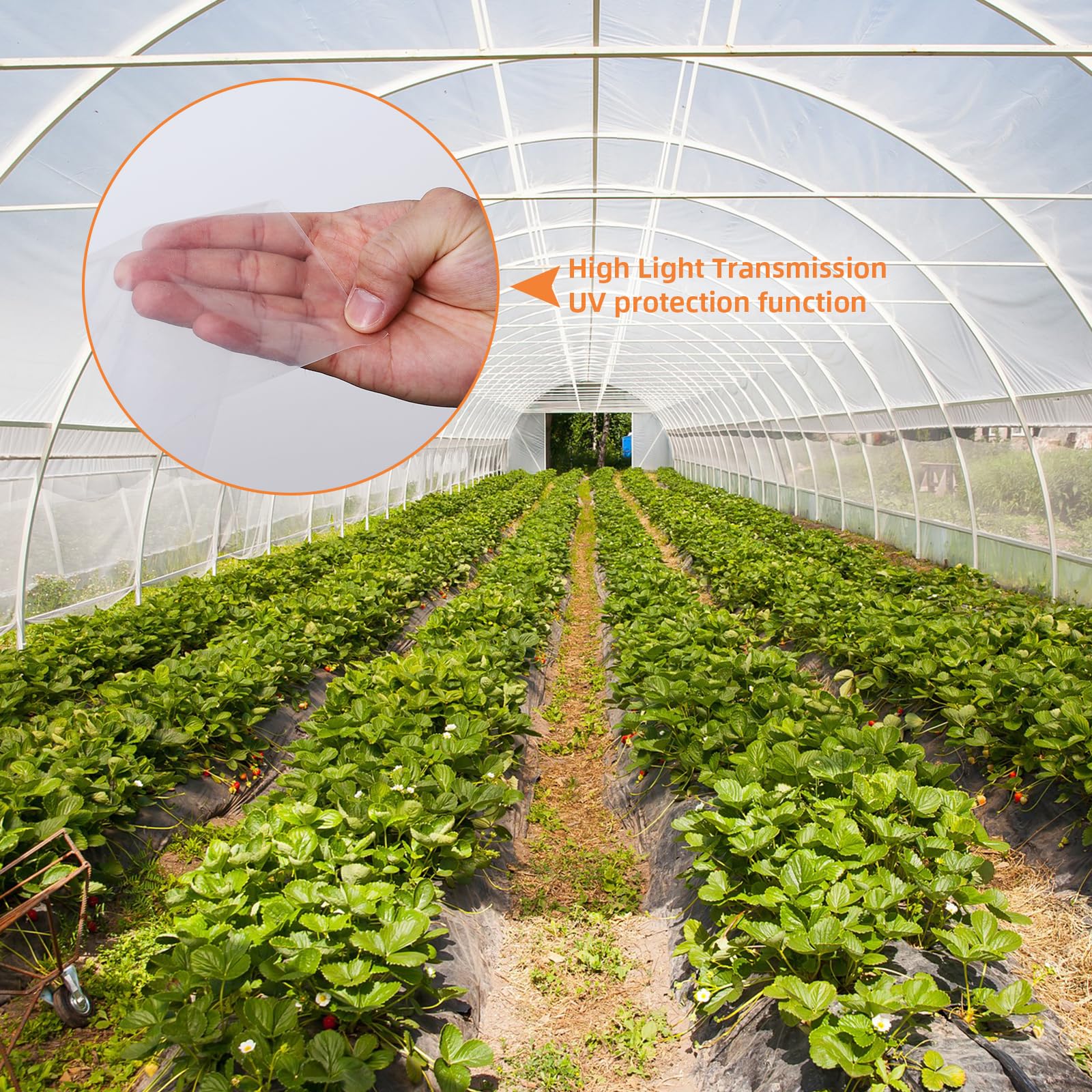 Garvee Greenhouse Plastic Sheeting Film Cover 25FT x 40FT, Polyethylene Greenhouse Film 6 Mil Heavy Duty,Plastic Sheeting UV Resistant for Farm, Garden, Windproof Frost& Dust Proof