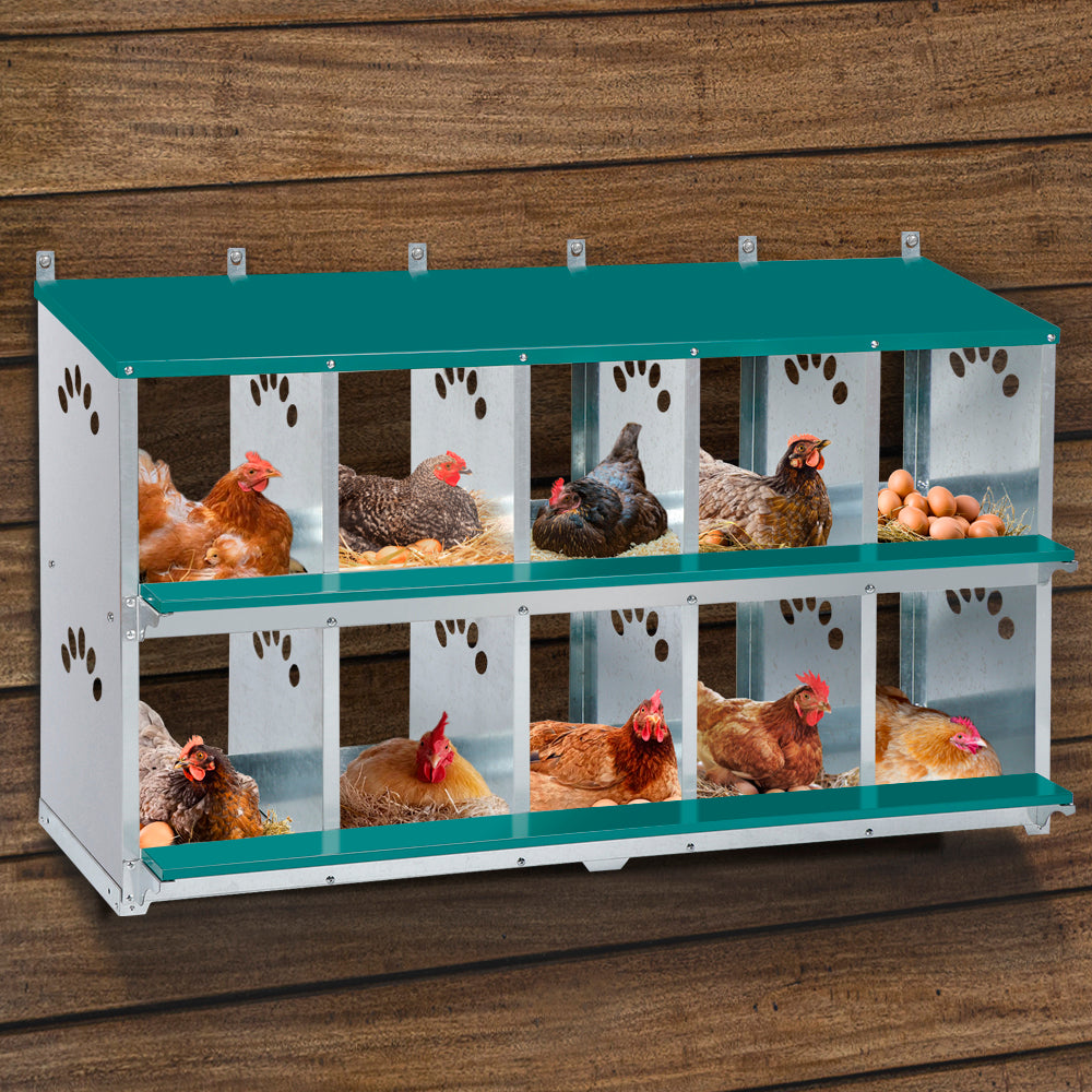 Garvee 10-Compartment Metal Nesting Box – Heavy-Duty Roll Away Egg Design w/Perch & Cover for Poultry Wall/Floor Mount, Green