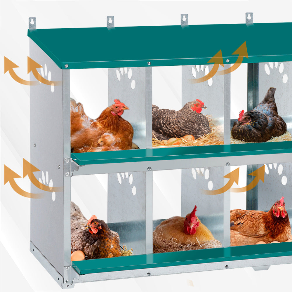 Garvee 10-Compartment Metal Nesting Box – Heavy-Duty Roll Away Egg Design w/Perch & Cover for Poultry Wall/Floor Mount, Green