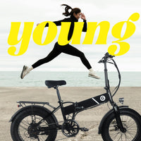 Garvee 20" x 4.0 Fat Tires Folding Electric Bike for Adults, 48V Removable Lithium Battery 750W Peak Power E-Bike, Large LCD Display, 6 Levels of Pedal Assist for Commuting and Riding