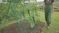 Garvee Cucumber Trellis for Garden & Raised Bed, 47"x47" Outdoor Plant Trellis for Climbing Plants, Metal Support Trellis with Net for Vines Flowers