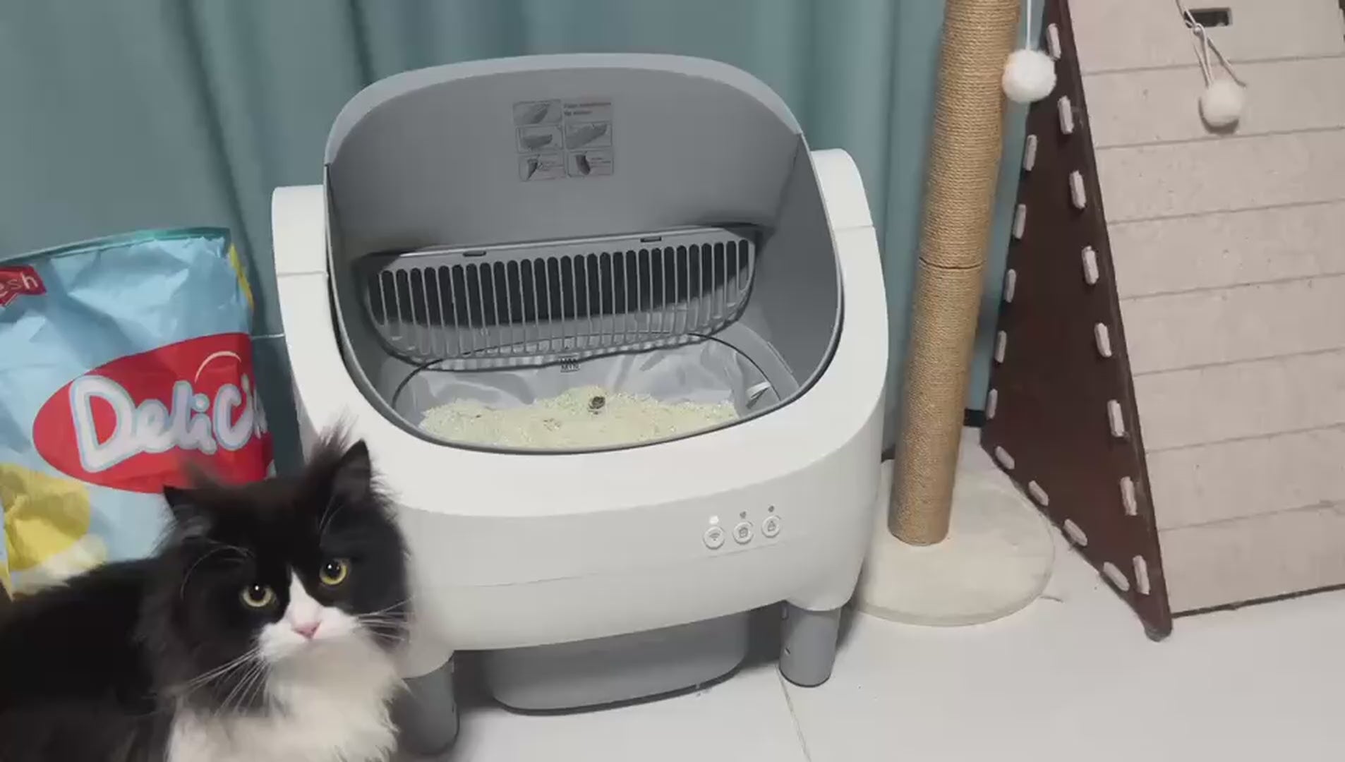 Garvee Self-Cleaning Cat Litter Box with App Control, Automatic Litter Box with Odor-Free 10.5L Bin, Whisper-Quiet, 7-Layer Safety, Open-Top Design for Large & Multiple Cats, Gray